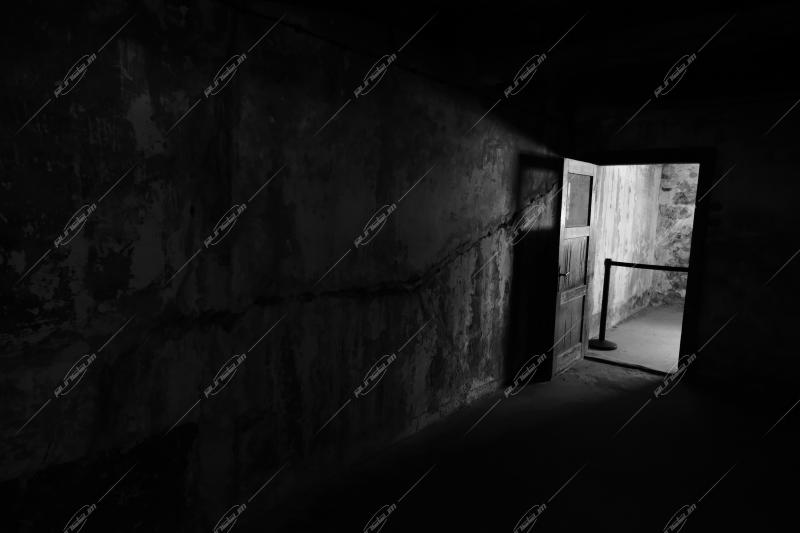 Auschwitz -Birkenau