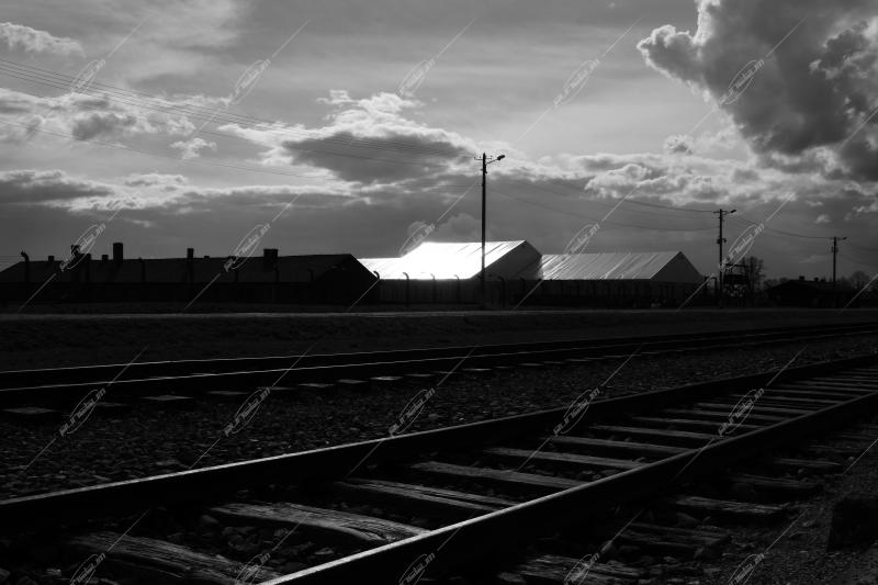 Auschwitz -Birkenau