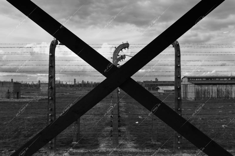 Auschwitz -Birkenau