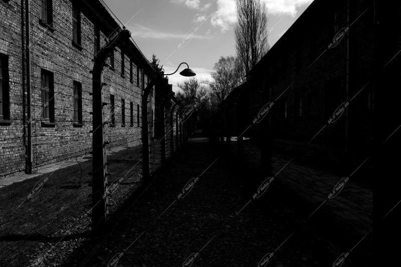 Auschwitz -Birkenau