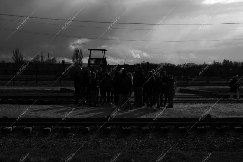 Auschwitz -Birkenau