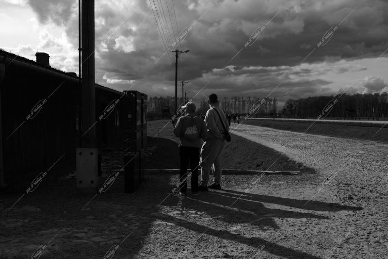 Auschwitz -Birkenau