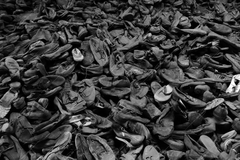Auschwitz -Birkenau