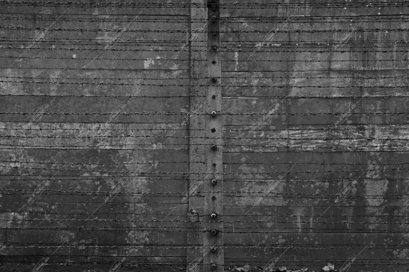 Auschwitz -Birkenau