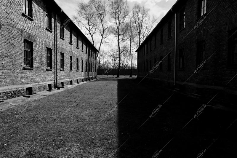 Auschwitz -Birkenau