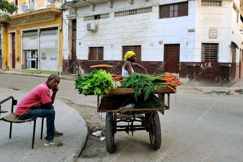 CUBAN LIFE
