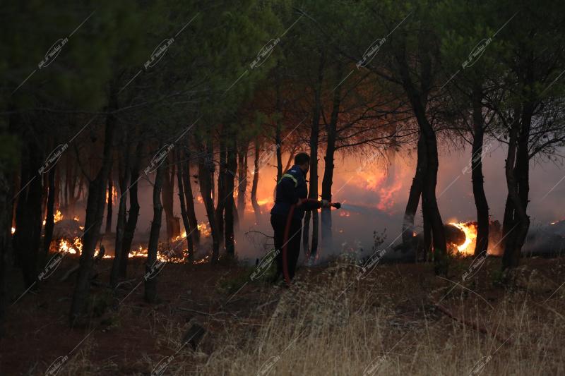 Δασική πυρκαγιά - Βαρνάβας, Πεντέλη.