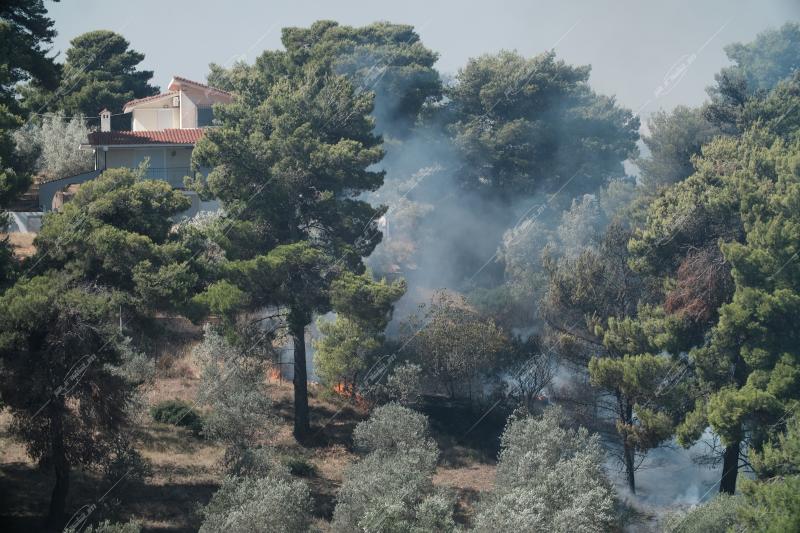Δασική πυρκαγιά στην περιοχή της Πεντέλης