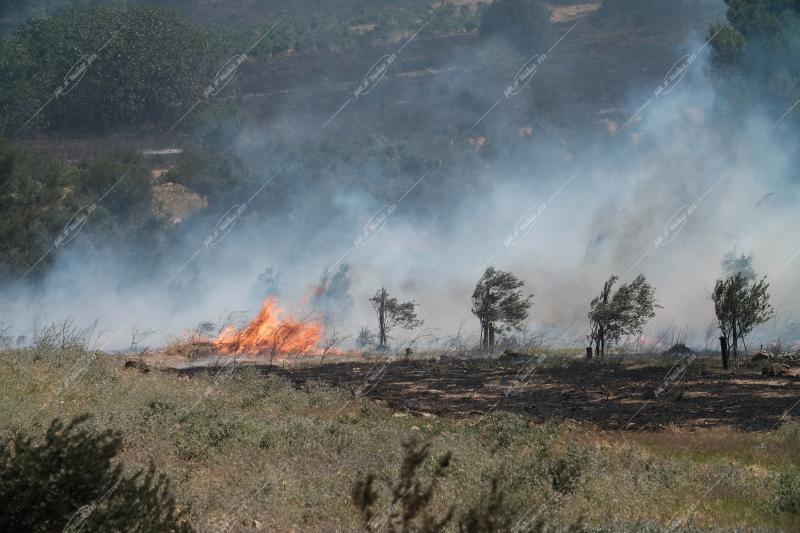 Δασική πυρκαγιά στην περιοχή της Πεντέλης