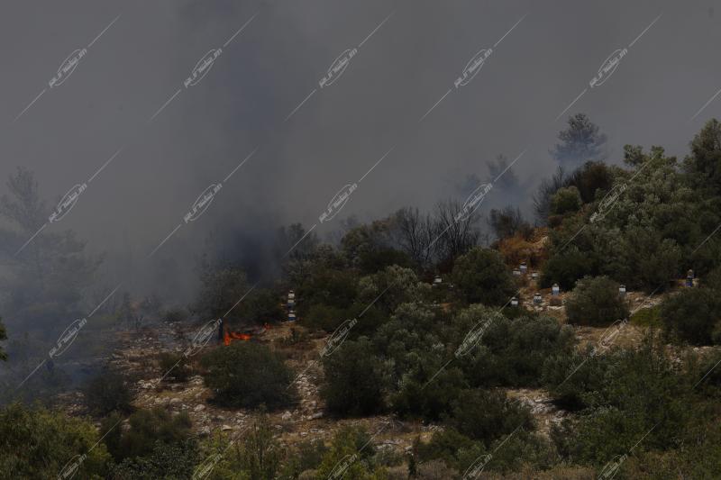 Φωτιά στην πανεπιστημιούπολη Ζωγράφου