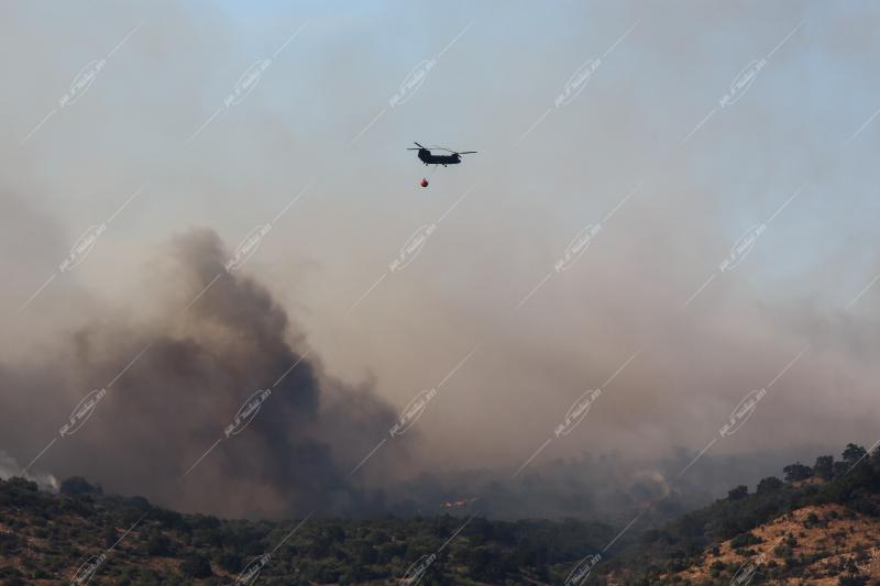 Φωτιά στην Πρέβεζα