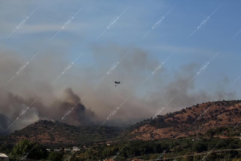 Φωτιά στην Πρέβεζα