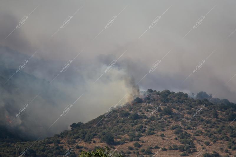 Φωτιά στην Πρέβεζα