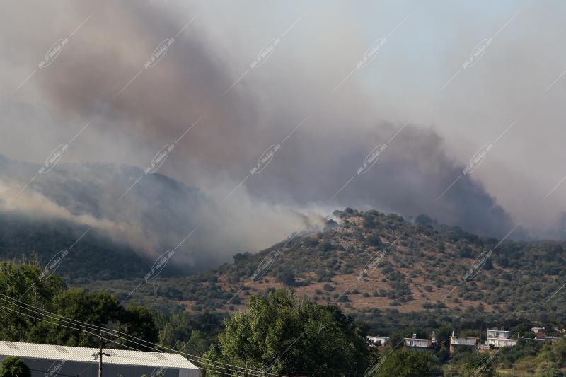 Φωτιά στην Πρέβεζα