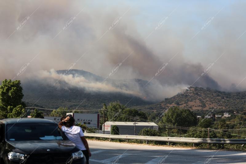 Φωτιά στην Πρέβεζα