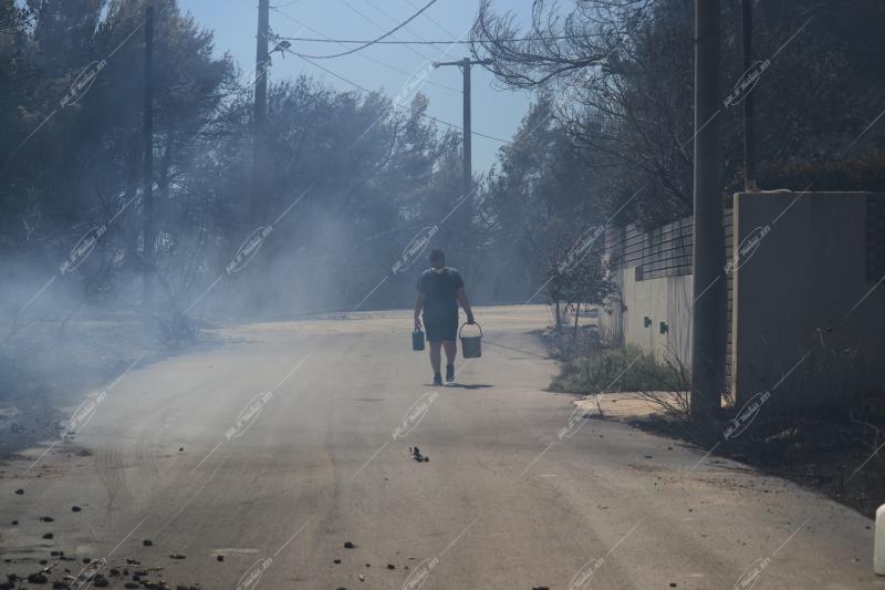 Φωτιά στο Πανόραμα Παλλήνης