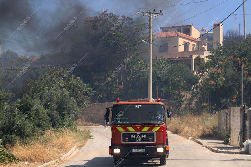 Φωτιά στο Πανόραμα Παλλήνης