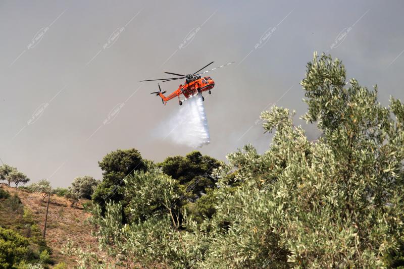 Φωτιά στο Πανόραμα Παλλήνης