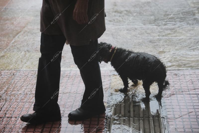 Καλοκαιρινή βροχή στην Αθήνα / Summer rain in Athens