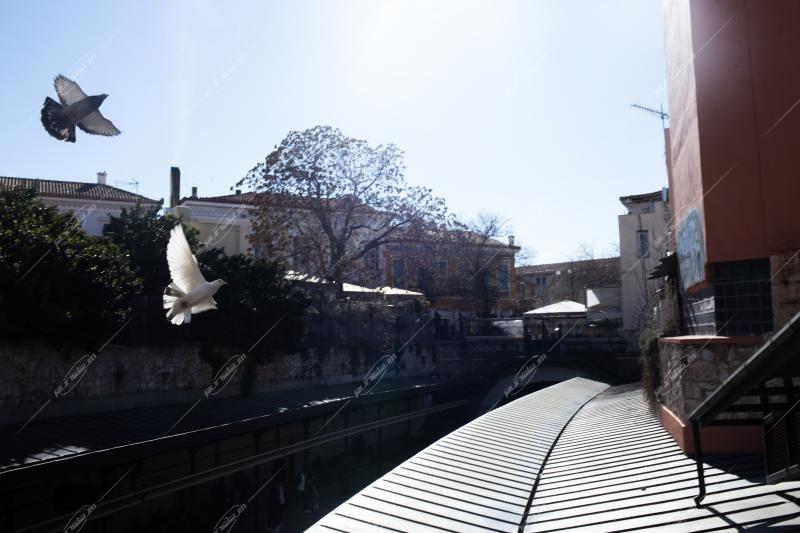 Καθημερινότητα Αθήνα / Daily Life Athens