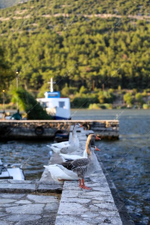 Λίμνη Παμβώτιδα / Νησάκι Ιωαννίνων