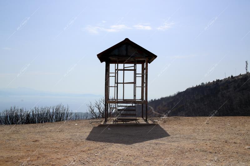 Όρος Πεντέλης - Καμμένα