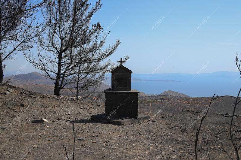 Όρος Πεντέλης - Καμμένα