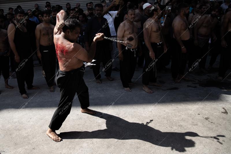 Shiite Muslims Celebrate Ashura in Piraeus