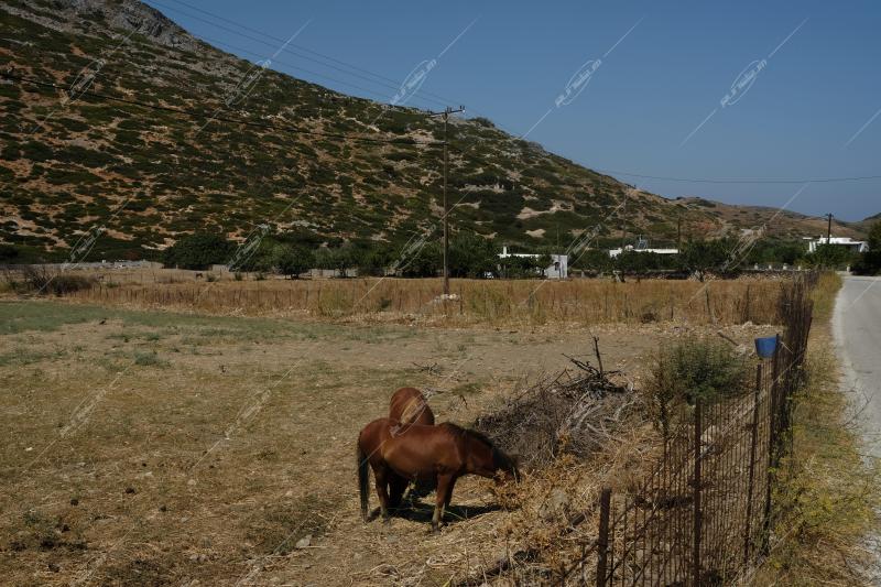 Το νησί της Σκύρου / Skyros island