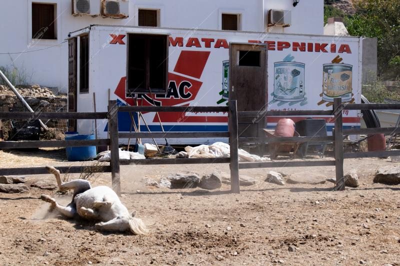Τουριστικό - Σκύρος / Αρχείο